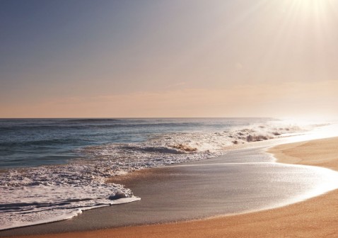 Atputa pie juras 2 478x336