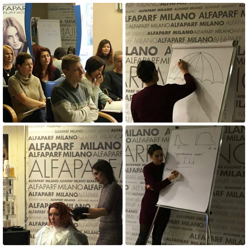 collage photocat-min