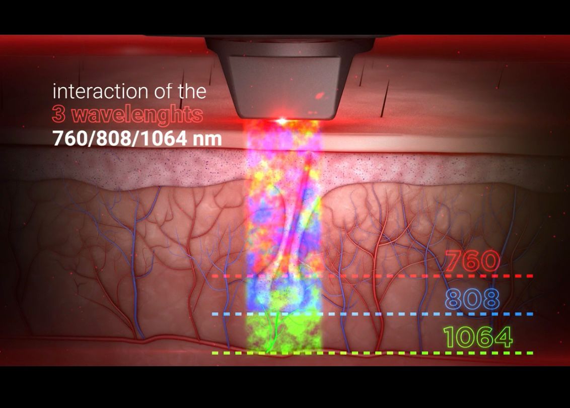 WhatsApp Image 2023 02 20 at 18.26.48