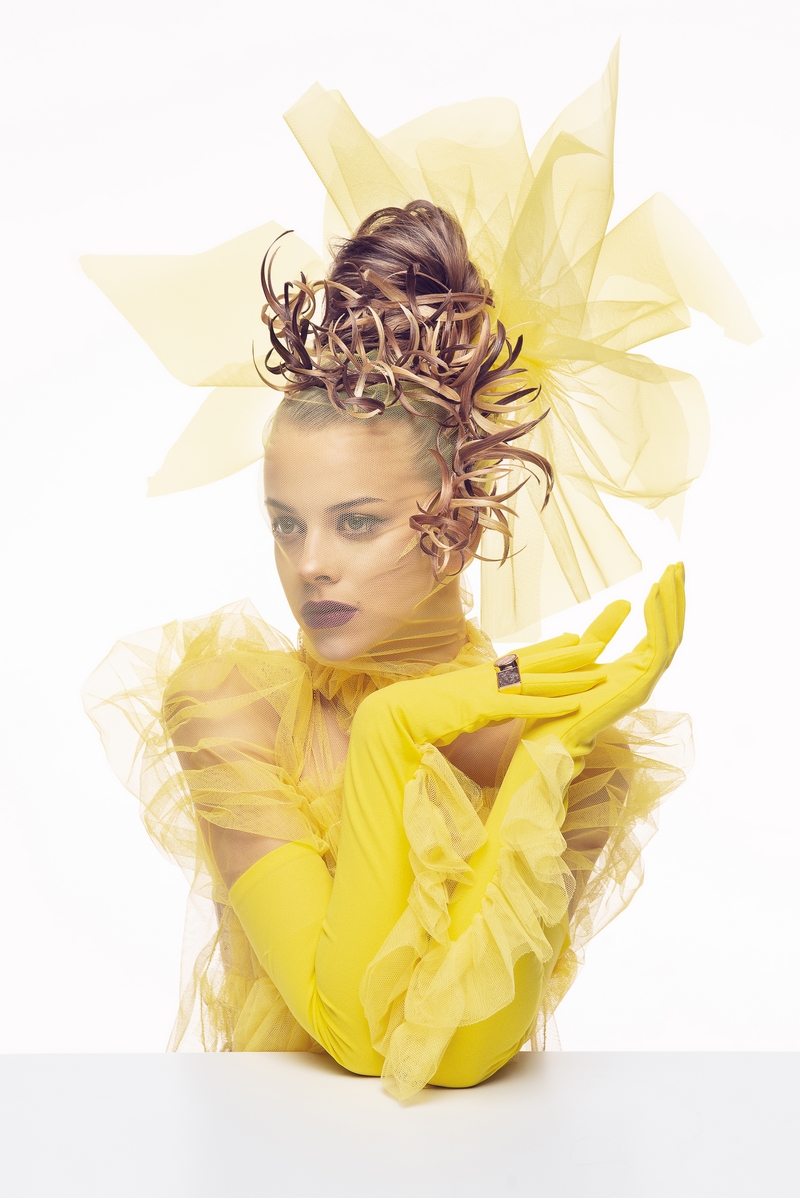 DOVIMA  Manuel Mon and Gonzalo zarauza 4