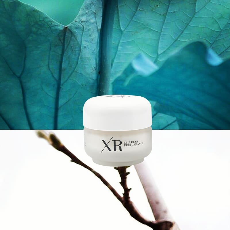 27337298 1697492513604300 5391641601661529841 n