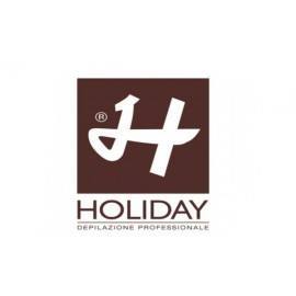 logo Holiday