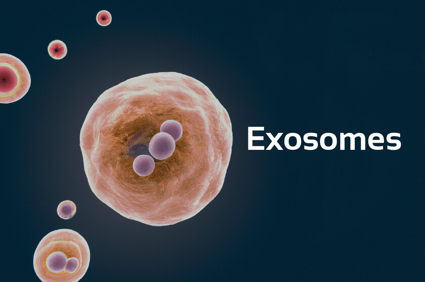 exosomes---copy